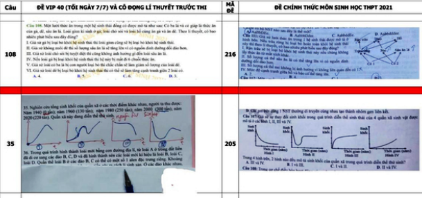 Bộ GD&ĐT thông tin về việc vi phạm đề thi môn Sinh học Kỳ thi tốt nghiệp THPT năm 2021