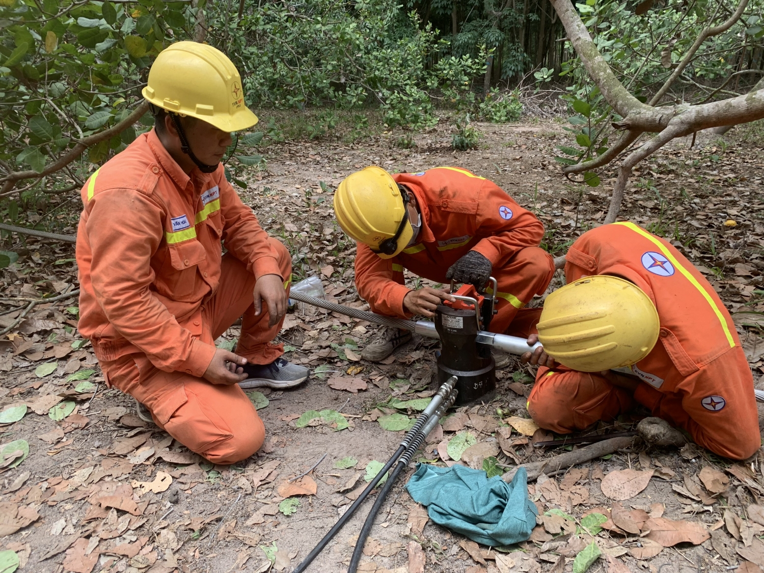 Đảm bảo hệ thống truyền tải điện vận hành an toàn, ổn định, liên tục trong mùa nắng nóng trên địa bàn tỉnh Bình Thuận