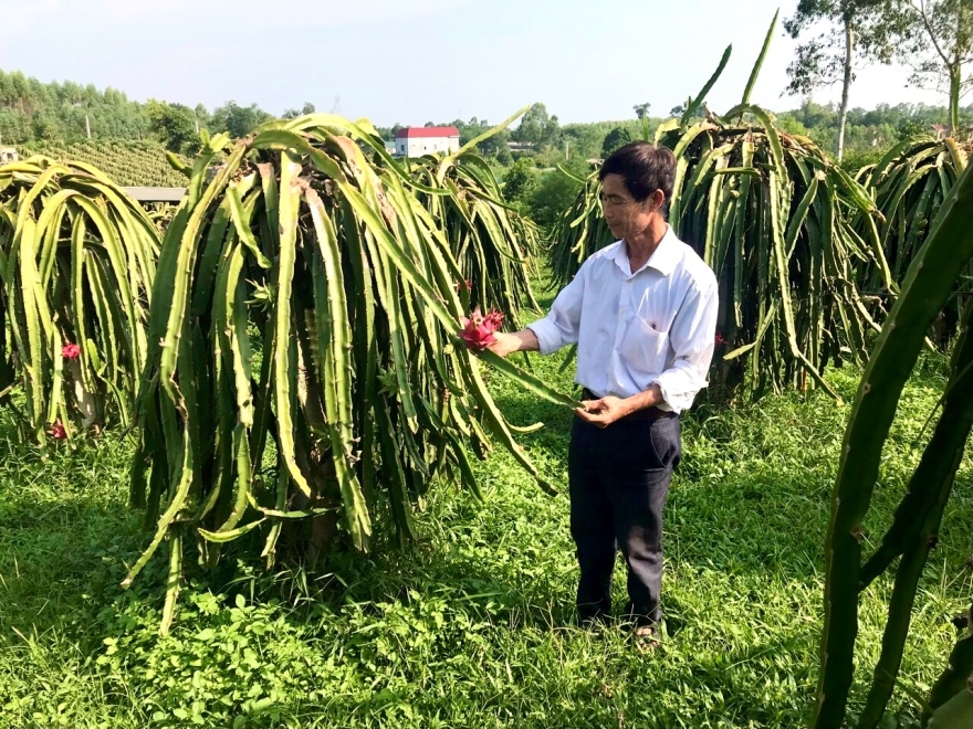 Tổ vay vốn – Nhịp cầu nối tín dụng tam nông