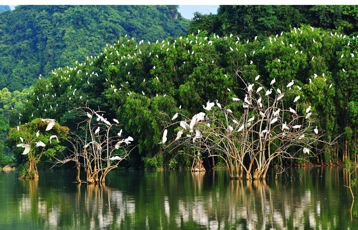 Tăng cường phòng, chống tội phạm về đa dạng sinh học