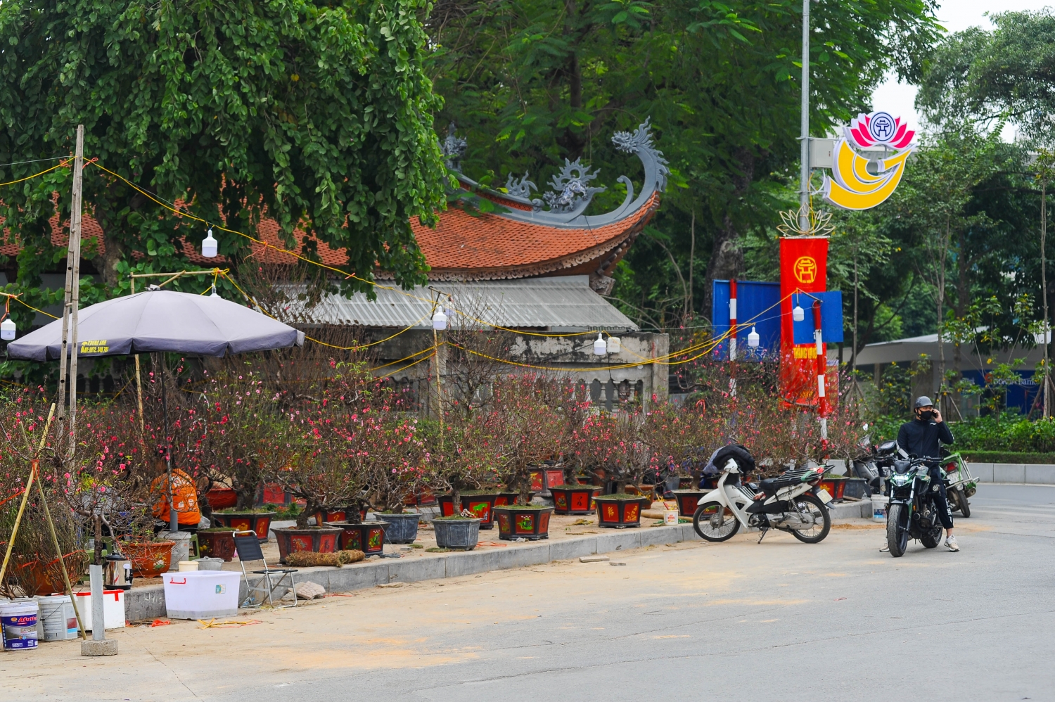 Phố phường Hà Nội tràn ngập sắc hoa Tết