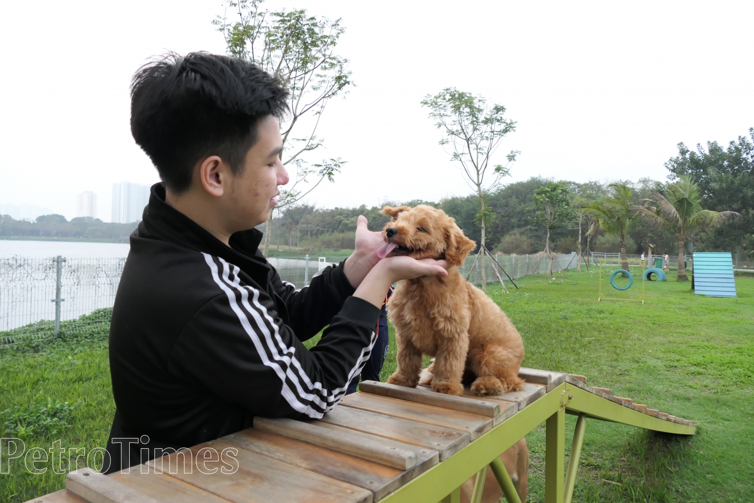 Công viên dành cho chó đầu tiên tại Hà Nội