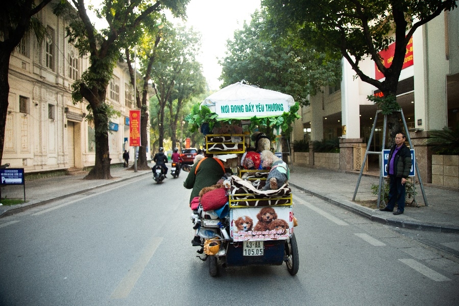 “Bây giờ, tôi mới chính thức sống cho mình!”