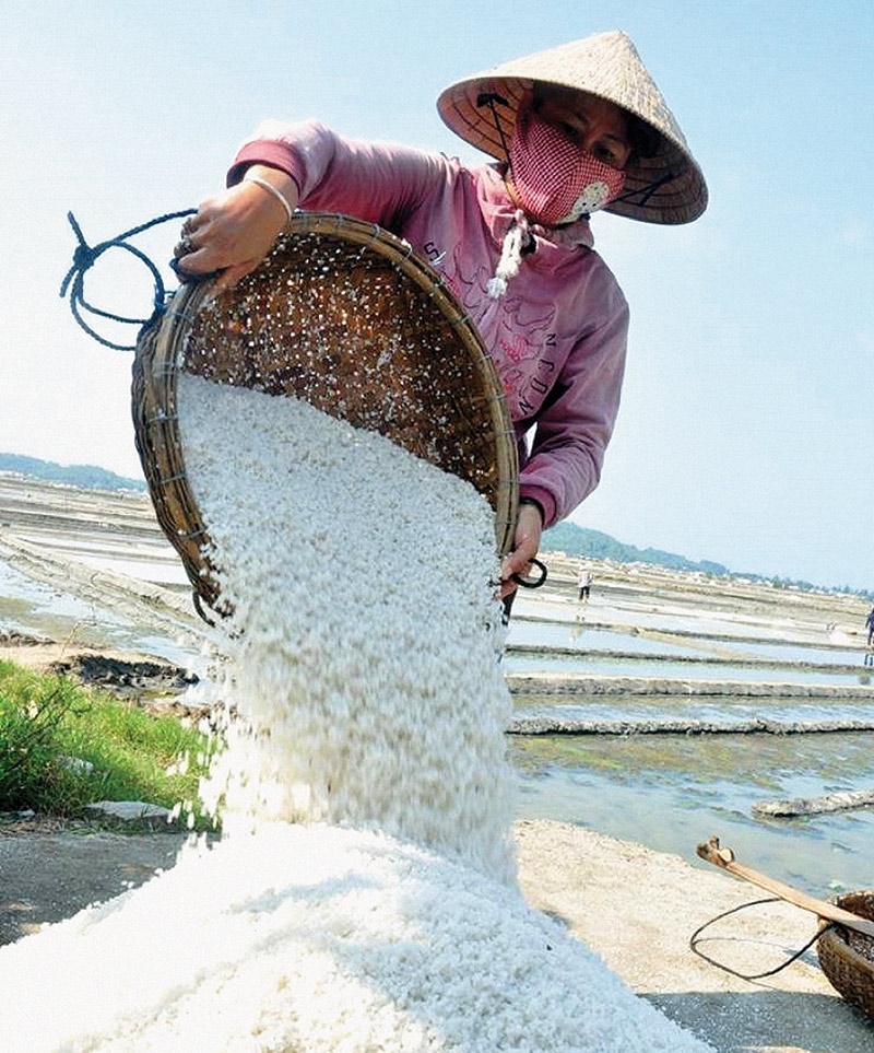 Ngọt, mặn trên đồng muối nắng cháy