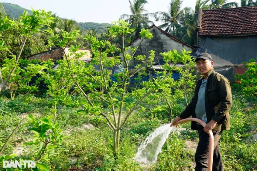 Anh Huỳnh Chí Linh là người đầu tiên ở xã Mỹ Lợi chuyển đổi cây trồng thành công (Ảnh: Doãn Công).