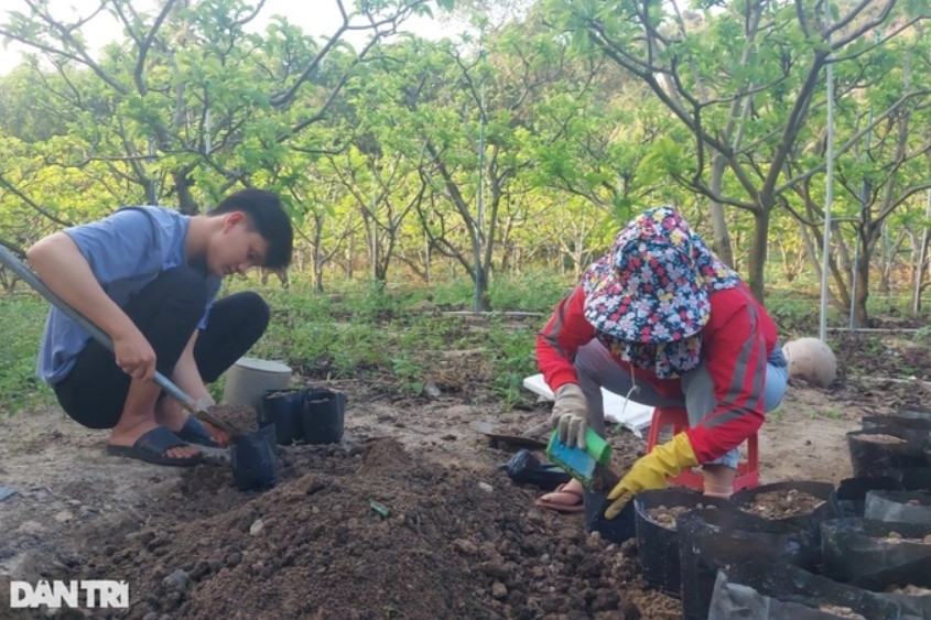 Vợ và con anh Linh phụ giúp công việc ở vườn (Ảnh: Doãn Công).