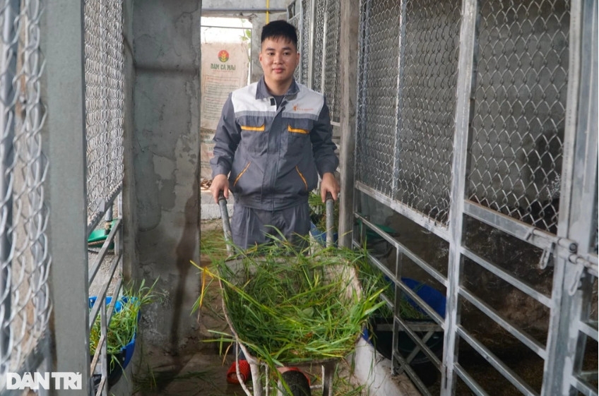 Bỏ phố về quê, anh Trịnh Ngọc Liên ôm mộng làm giàu với mô hình nuôi hươu (Ảnh: Thanh Tùng).