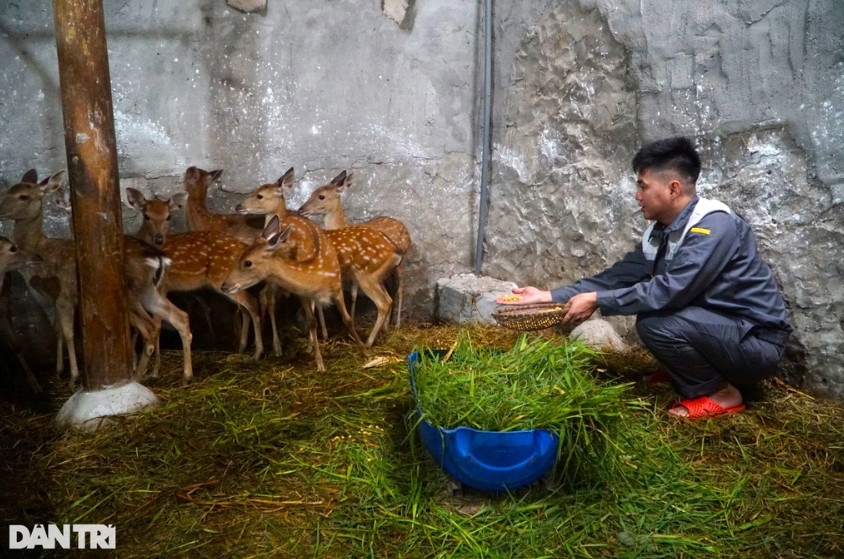 Chàng trai trẻ kiếm trăm triệu đồng mỗi tháng bỏ về quê, mơ làm 