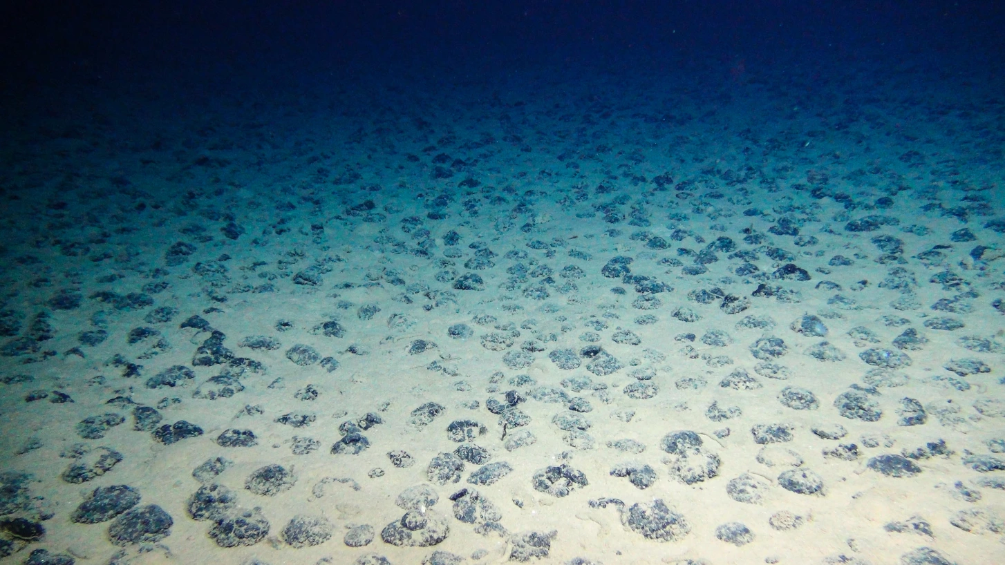 Những mảnh đá chứa niken, coban, mangan… và nhiều thành phần hóa học quan trọng khác nằm dưới đáy biển (Ảnh: Getty).