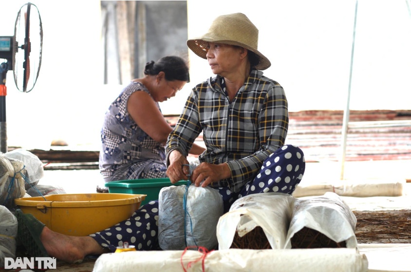 Nghề trồng nấm rơm tạo việc làm cho hàng chục lao động tại địa phương (Ảnh: Ngô Linh).