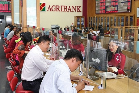 Agribank đồng hành cùng người dân, doanh nghiệp vượt khó