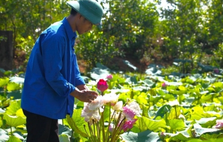 Chàng kỹ sư trẻ bỏ việc ở thủ đô về quê bắt bãi đất hoang "nở ra tiền"