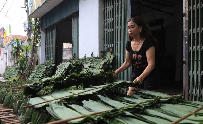 Kiếm tiền tỷ từ lá... tre