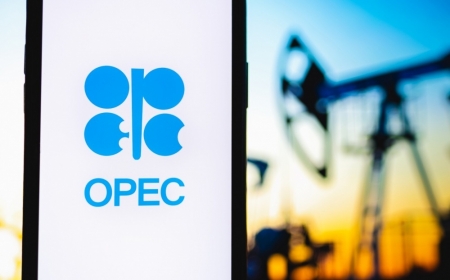 OPEC trong một thế giới đang thay đổi (Bài 2)