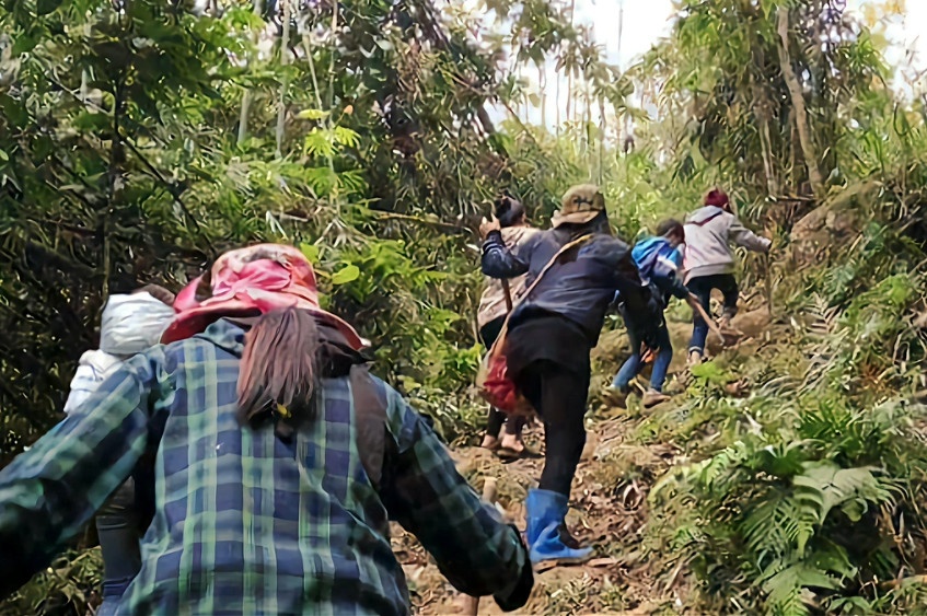 Từng tốp người vượt qua con dốc vào rừng hái măng (Ảnh: Lò Quyến).