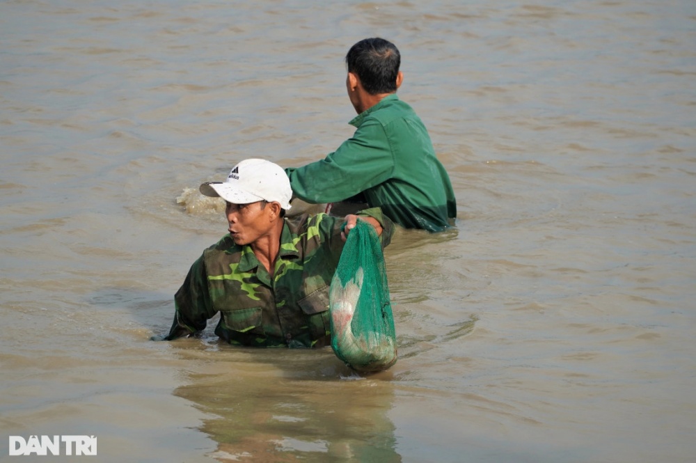 Dân phố lũ lượt mua vé thi nhau nơm cá, chủ hồ thu gần chục triệu đồng