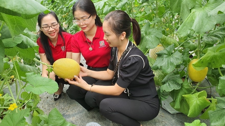 Phát triển nông sản sạch, nông sản đạt tiêu chuân OCOP: Nguồn lực "vàng" từ Agribank