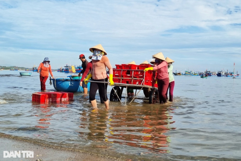 Chợ cá nơi 