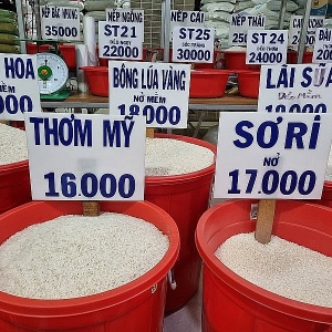 Doanh nghiệp nêu lý do giá gạo xuất khẩu “bốc hơi” 35 USD/tấn