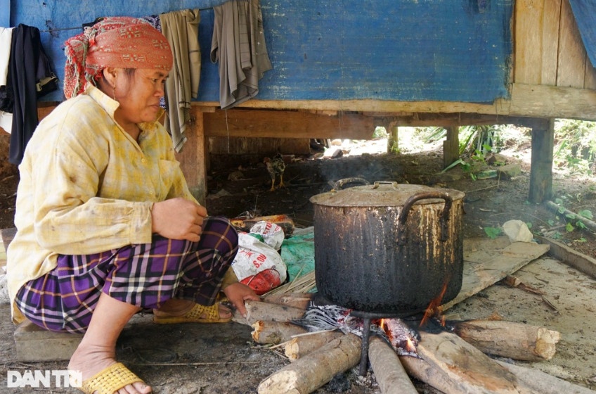 Heo đen có thể thả vườn cho ăn rau, bắp (ngô) sống nhưng bà Quyên nấu cám để cho heo phát triển tốt hơn (Ảnh: Doãn Công).