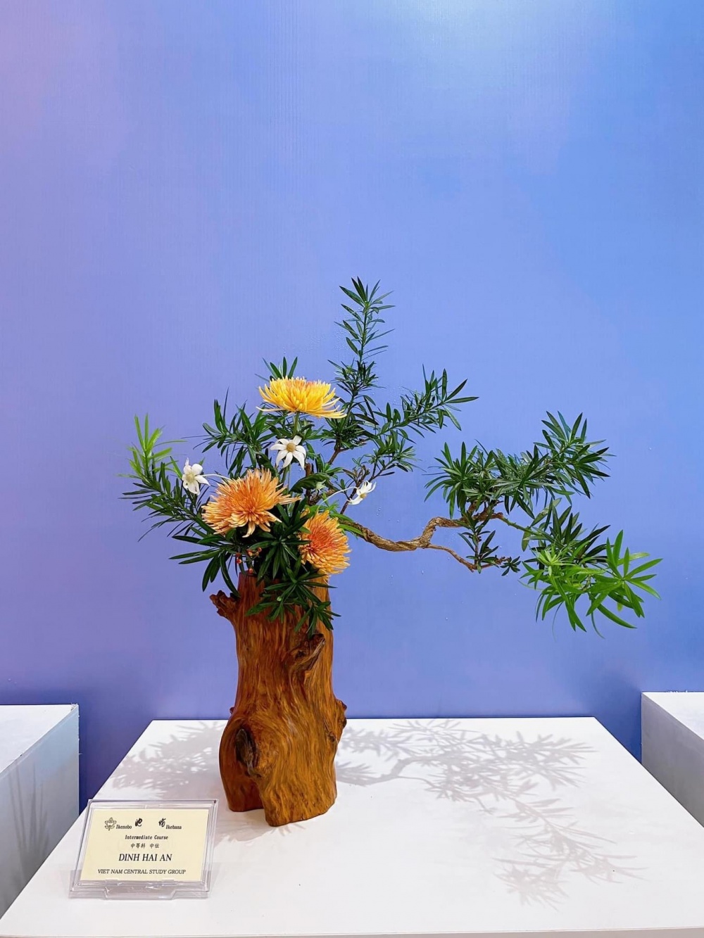 Khai mạc triển lãm Ikebana Hà Nội lần VI - “More than Flower”