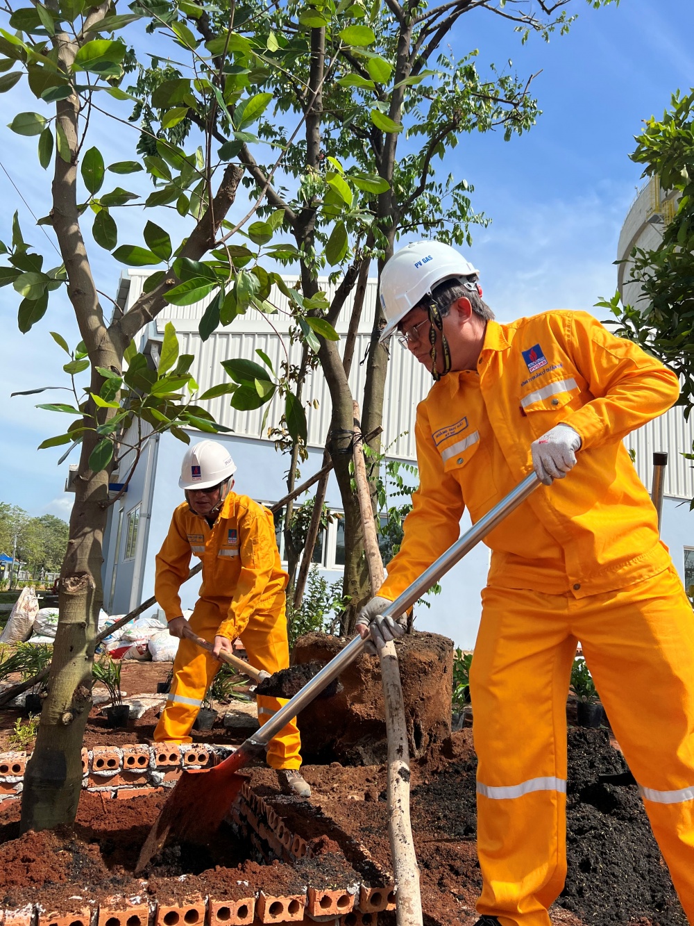 Tác phẩm dự thi 