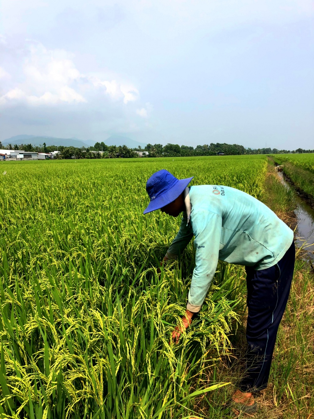 Tác phẩm dự thi 