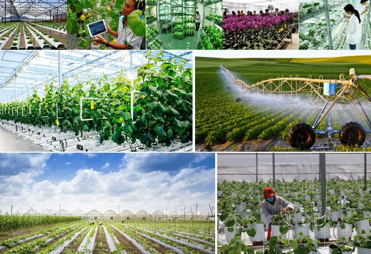 5 cơ hội phát triển cho các hợp tác xã khi chuyển đổi xanh