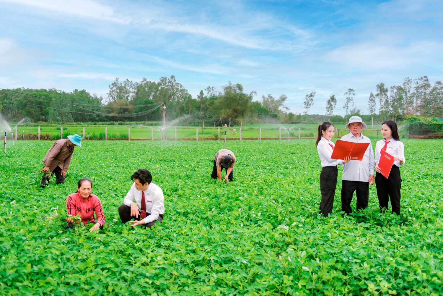 Agribank triển khai đồng bộ nhiều giải pháp để hỗ trợ doanh nghiệp vượt khó