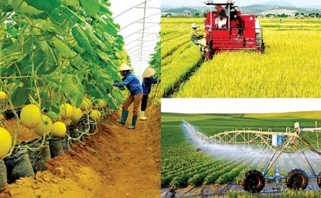 Nông nghiệp giữ vai trò trụ đỡ của nền kinh tế năm 2023
