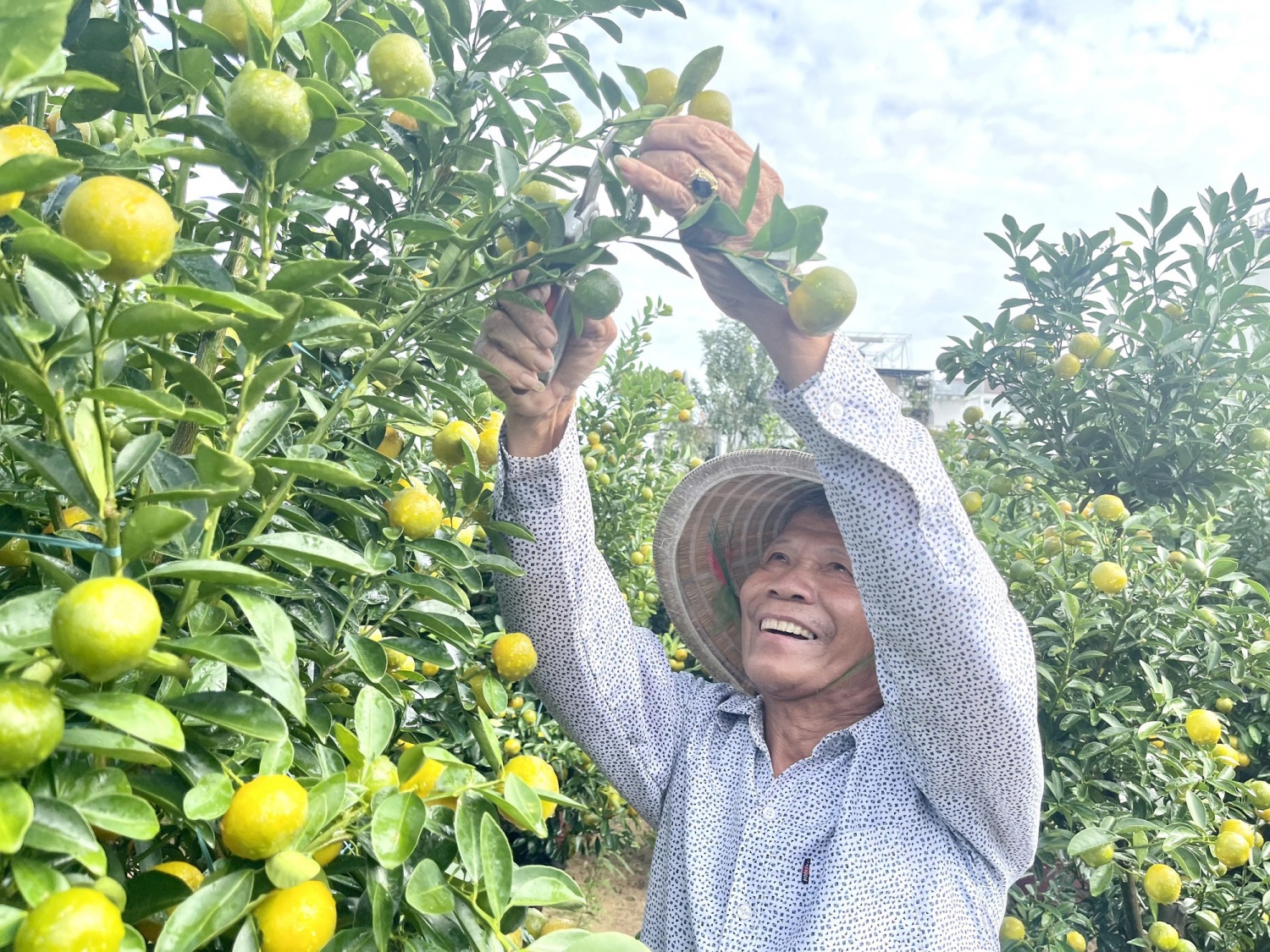 Ông Kỷ phấn khởi chia sẻ năm nay đã bán hết toàn bộ sản lượng trước Tết - Ảnh: VGP/Lưu Hương