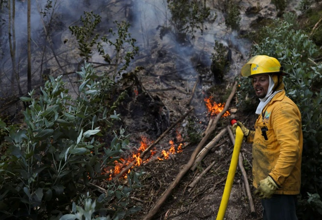 Thảm họa thiên nhiên do cháy rừng ở Colombia