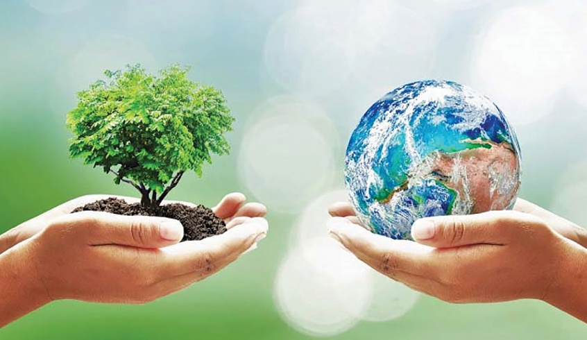 Tăng cường hợp tác quốc tế trong bảo vệ môi trường