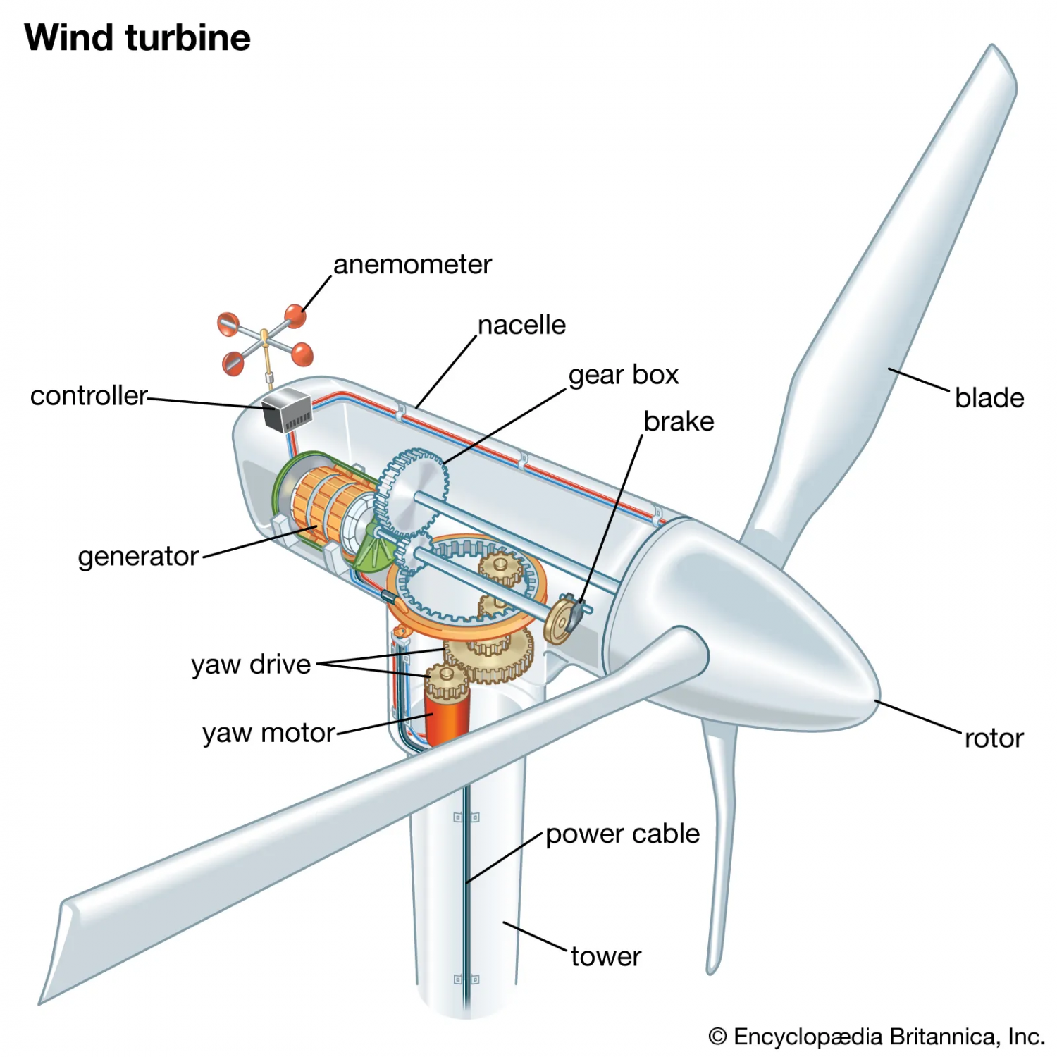 Bức tranh thị trường turbine gió và tấm pin năng lượng mặt trời
