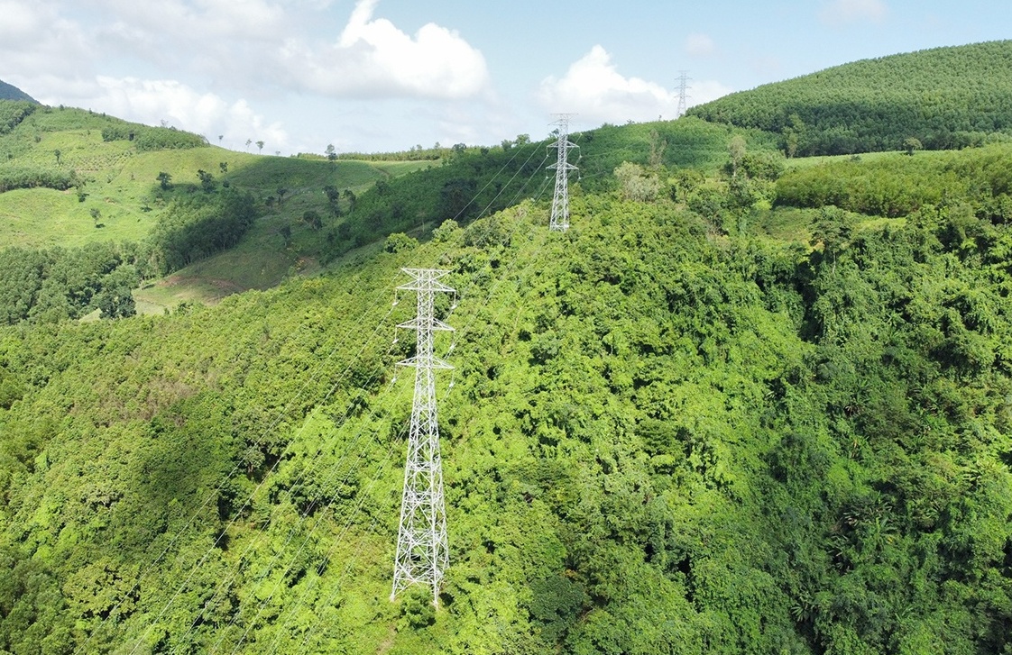 Quy định mới về tạm sử dụng rừng phục vụ thi công dự án lưới điện vì lợi ích quốc gia, công cộng