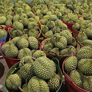 Việt Nam đứng thứ 2 về xuất rau quả sang Trung Quốc