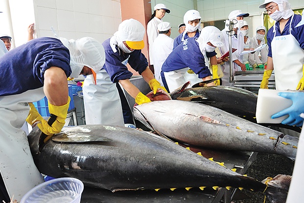 Xuất khẩu cá ngừ mất đà tăng trưởng