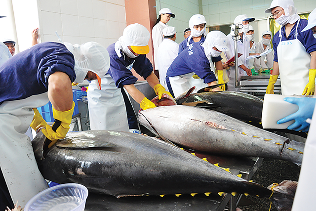 Xuất khẩu cá ngừ mất đà tăng trưởng