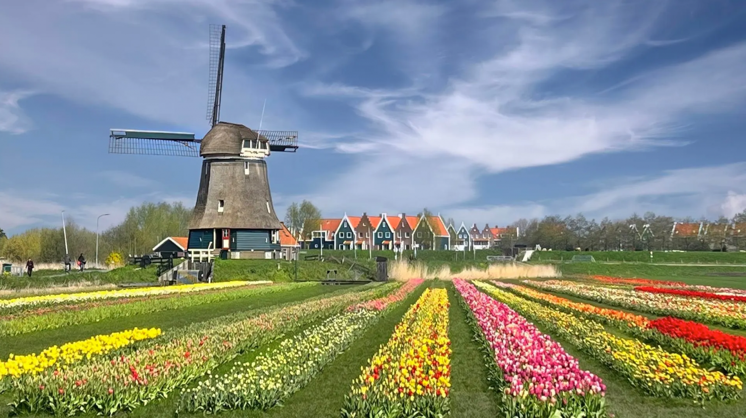 Ghé thăm Hà Lan mùa hoa tulip