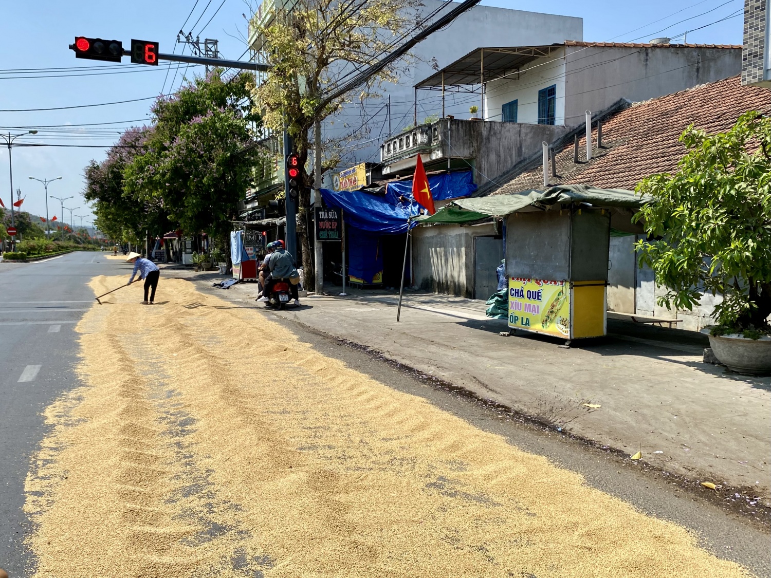 Tái diễn phơi lúa trên mặt đường quốc lộ