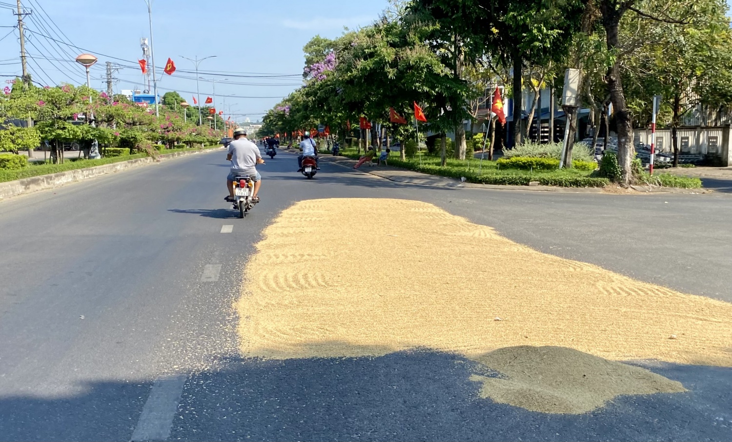 Tái diễn phơi lúa trên mặt đường quốc lộ