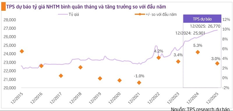 Tỷ giá có thể tăng 5,3% vào thời điểm cuối năm 2024