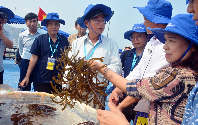 “Blue Ocean - Blue Foods”: Hành trình xây dựng bể chứa carbon ngành thủy sản