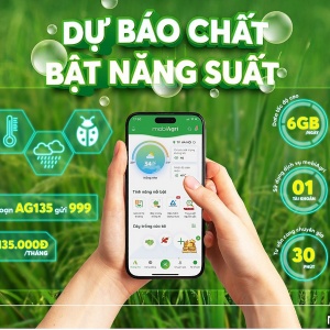 Canh tác nông nghiệp thuận lợi với ‘túi khôn’ 4.0