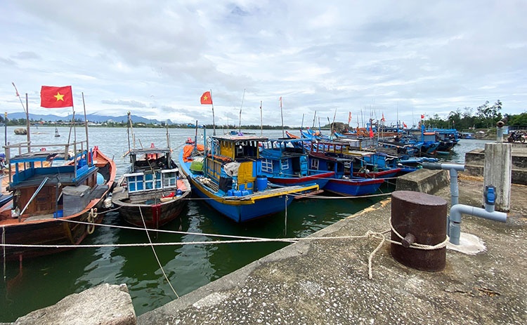 Thủ tướng yêu cầu chủ động ứng phó với mưa bão, ngập lụt và nguy cơ sạt lở đất