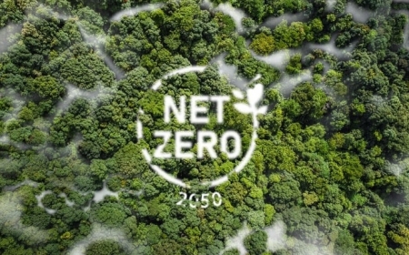 Tăng tốc cho nền kinh tế Net Zero