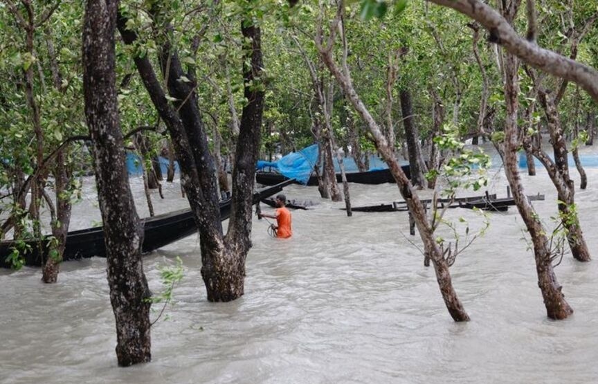 WB: Tài trợ cho ứng phó với biến đổi khí hậu đạt kỷ lục