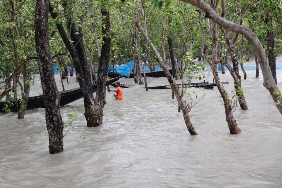 WB: Tài trợ cho ứng phó với biến đổi khí hậu đạt mức kỷ lục