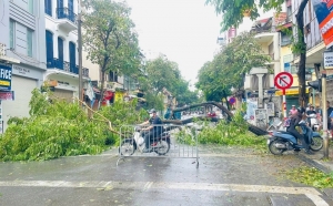 Bài 1: Sự tàn phá của "siêu bão"