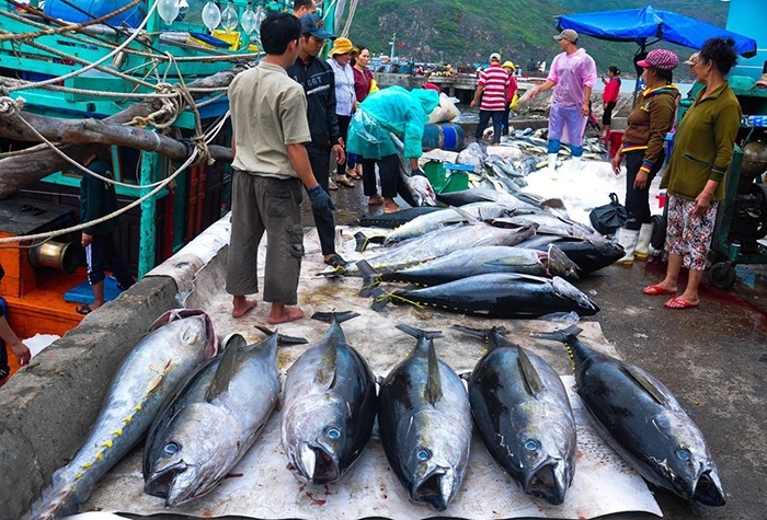 Xuất khẩu thủy sản Việt Nam đã quay trở lại quỹ đạo